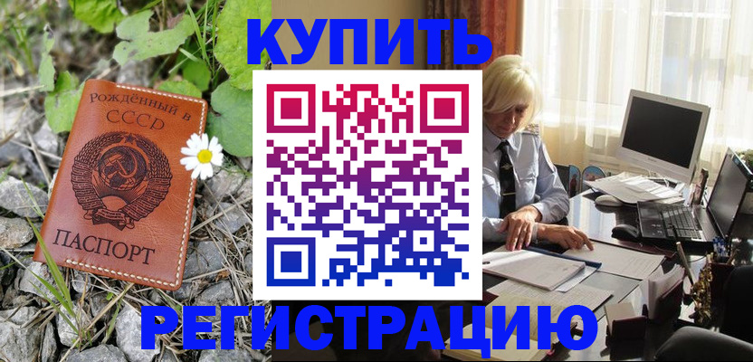 временная регистрация поиск в Гатчине